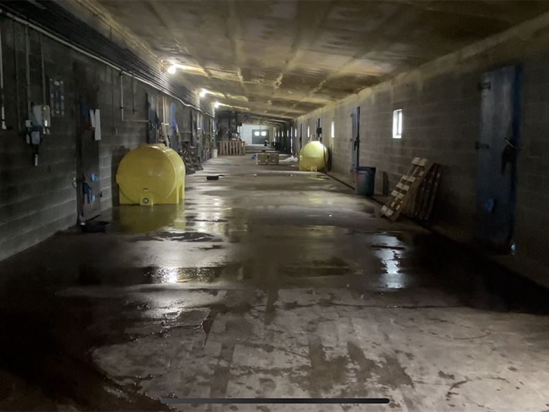 Commercial Mushroom Farm : Avondale : Chester County : Pennsylvania