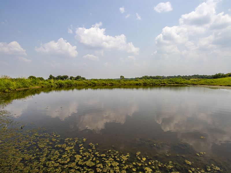 Land Auction, 1060.77 +/- Acres : Purcell : McClain County : Oklahoma