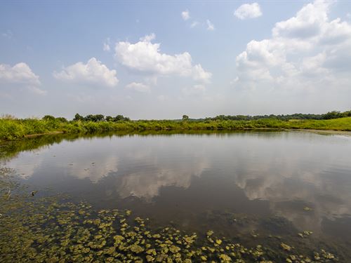Land Auction, 1060.77 +/- Acres : Purcell : McClain County : Oklahoma