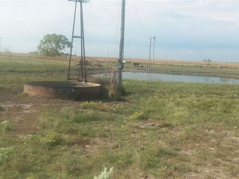 Excellent Tract for Building Site : Hays : Ellis County : Kansas