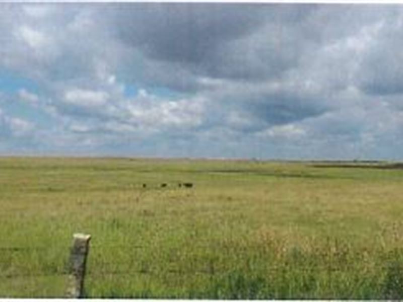 Beautiful Country on These 3 Tracts : Bazine : Ness County : Kansas