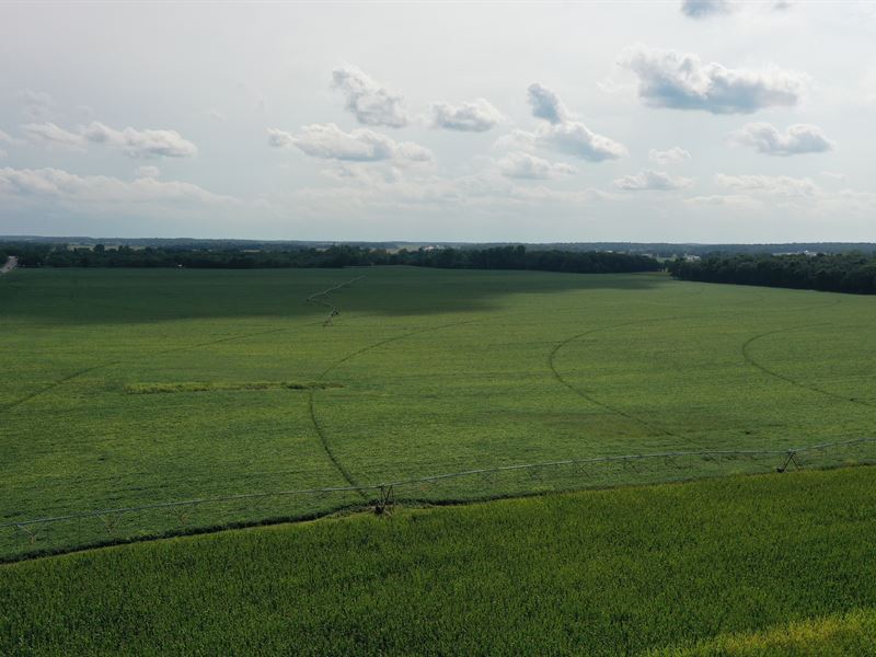 Land Auction, 429 +/- Acres : Ligonier : Noble County : Indiana