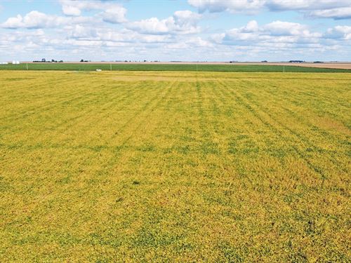 Coles County Farmland Auction : Humboldt : Coles County : Illinois