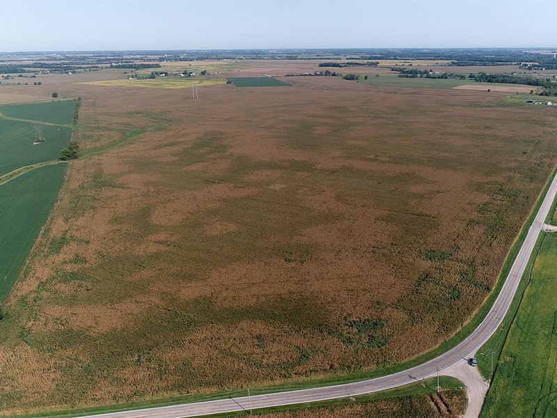 376 +/- Acres Offered in 4 Tracts : Clarksburg : Pickaway County : Ohio