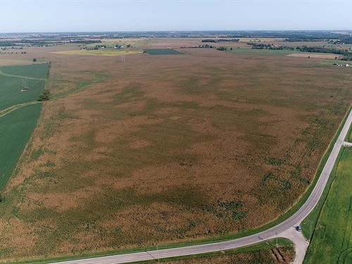 376 +/- Acres Offered In 4 Tracts : Clarksburg : Pickaway County : Ohio