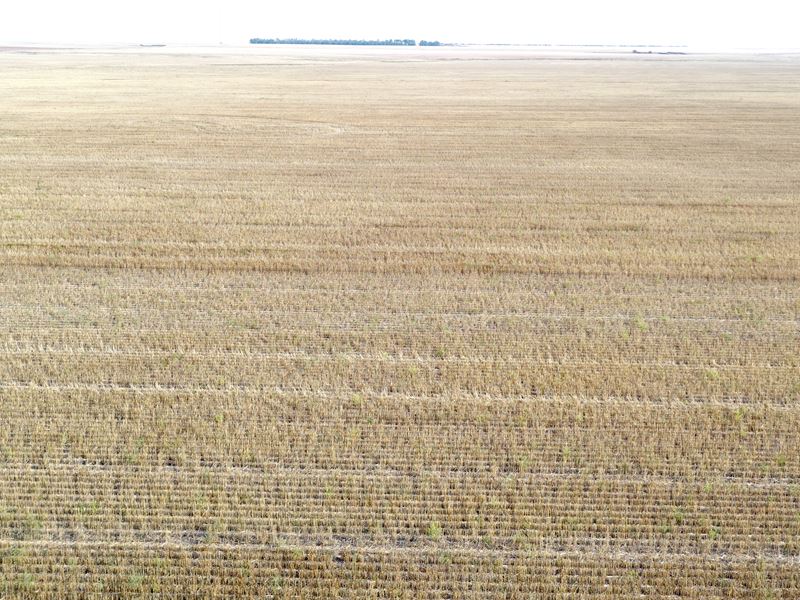 Lincoln County Dryland Farm Auction : Genoa : Lincoln County : Colorado