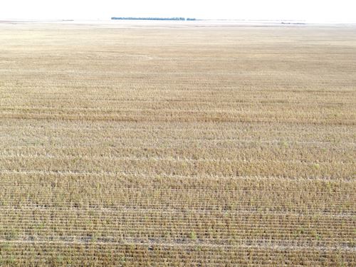 Lincoln County Dryland Farm Auction : Genoa : Lincoln County : Colorado