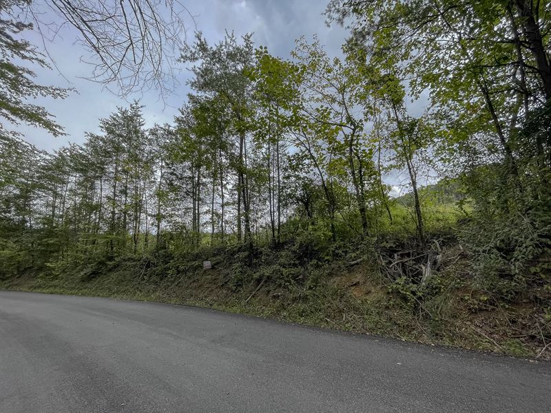 Beautiful Views From This Property : Ten Mile : Meigs County : Tennessee