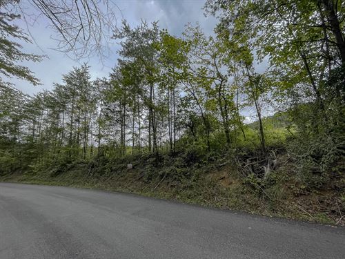 Beautiful Views From This Property : Ten Mile : Meigs County : Tennessee