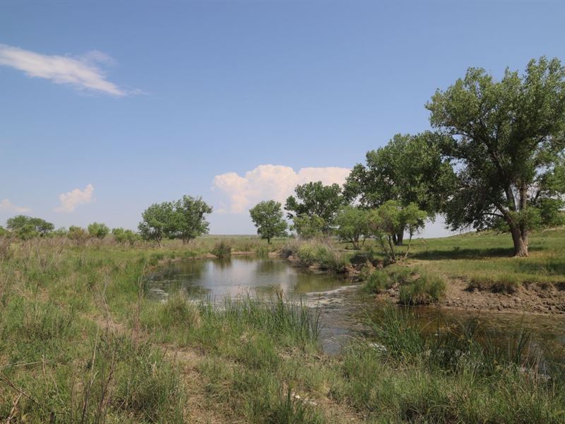 Budin Ranch Land Auction : Sterling : Logan County : Colorado