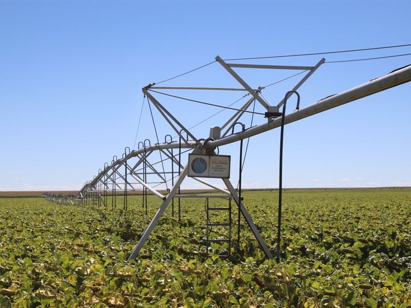 Pivot Irrigated Land Auction : Flagler : Kit Carson County : Colorado