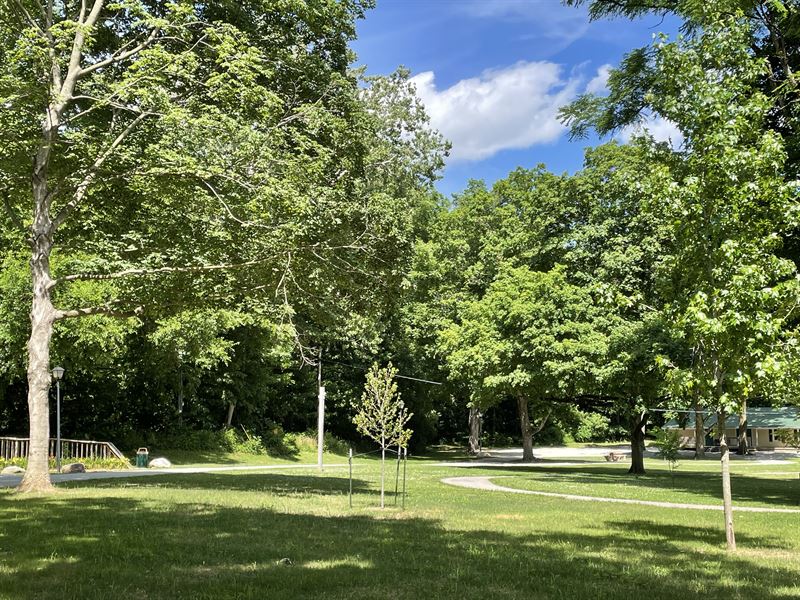 Land Auction, 293 +/- Acres : Delphi : Carroll County : Indiana