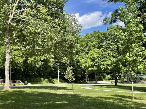 Land Auction, 293 +/- Acres : Delphi : Carroll County : Indiana