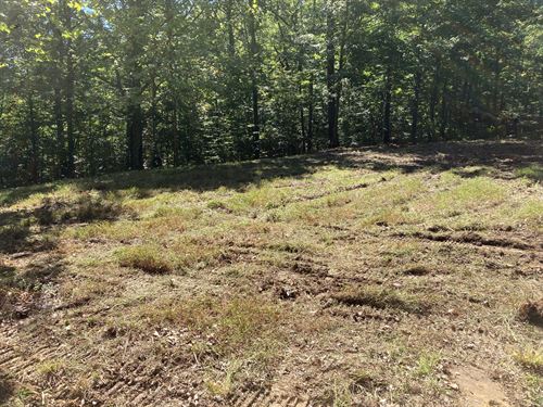 Indiana Hunting & Recreational Land : Nashville : Brown County : Indiana