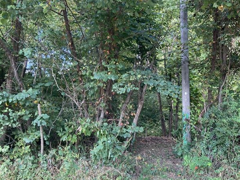 Bloomington, Indiana Land for Sale : Bloomington : Monroe County : Indiana