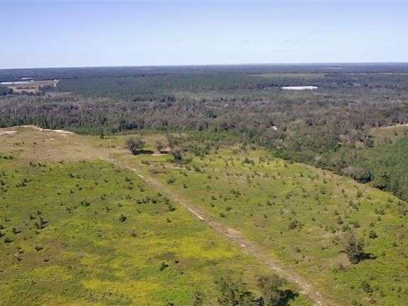 Vacant Land on 124.25 Acres : Oglethorpe : Macon County : Georgia