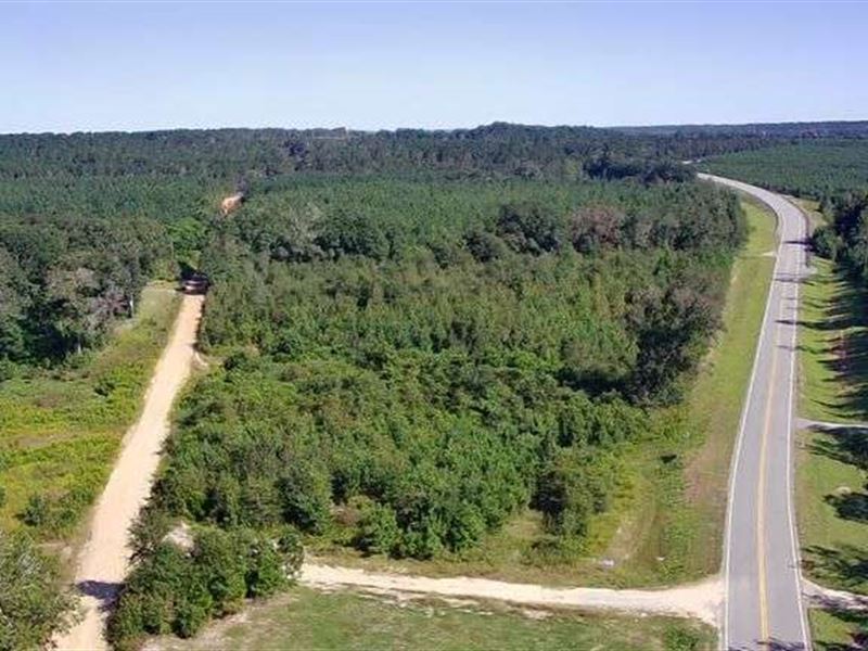 5.44 Acres of Vacant Land : Oglethorpe : Macon County : Georgia