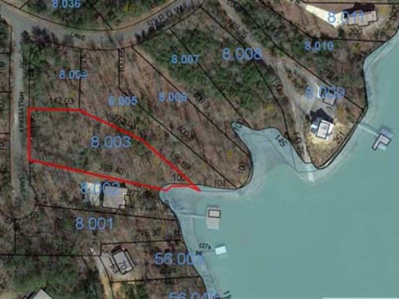 Auction, Waterfront Lot : Arley : Winston County : Alabama