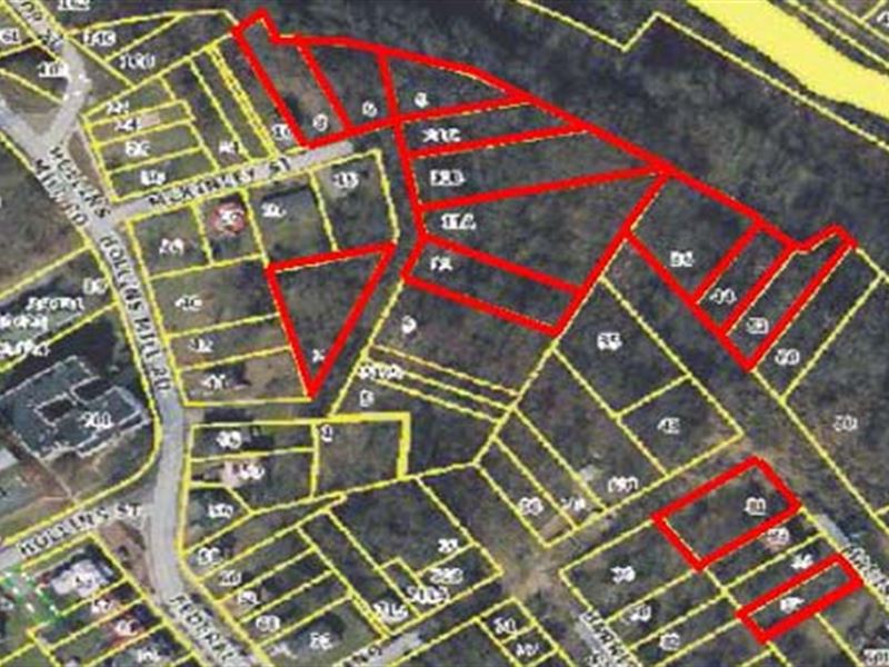 Absolute Auction, 27 Resid. Lots : Lynchburg : Campbell County : Virginia