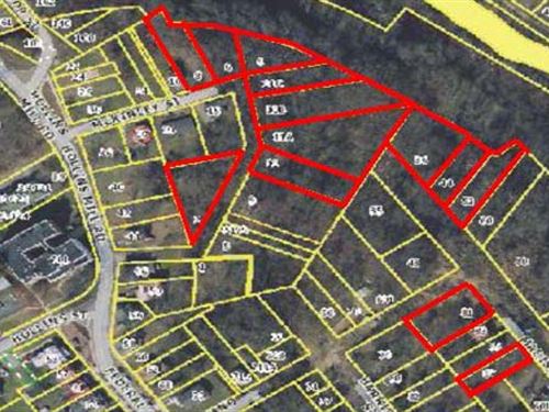 Absolute Auction, 27 Resid. Lots : Lynchburg : Campbell County : Virginia