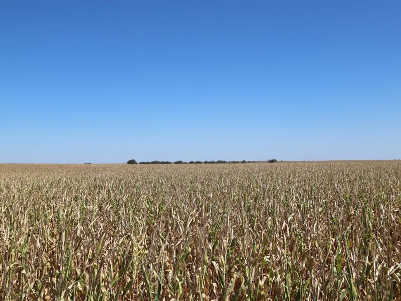Adamson Dryland Auction : Chappell : Deuel County : Nebraska