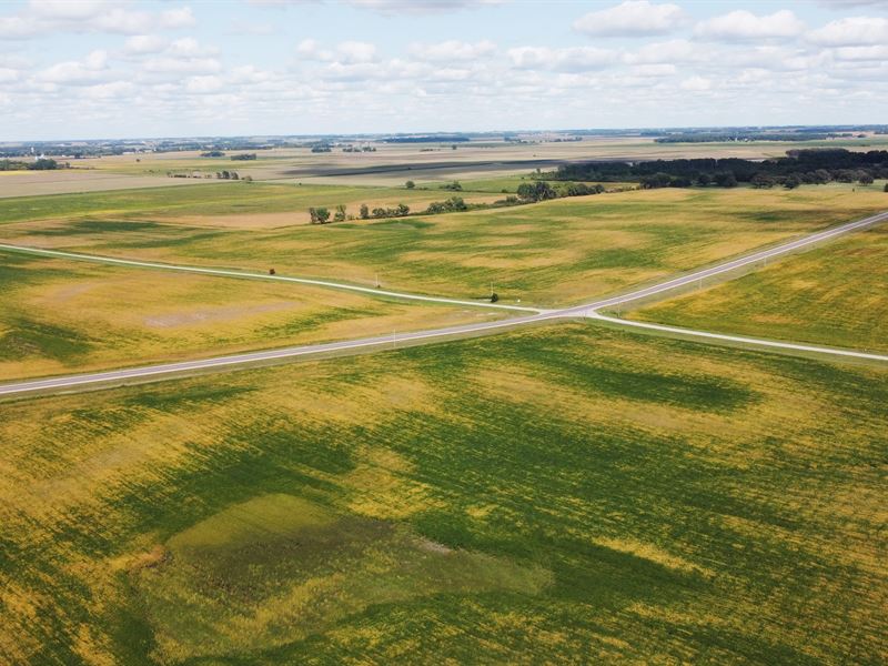 Freeborn County Land Auction : Albert Lea : Freeborn County : Minnesota