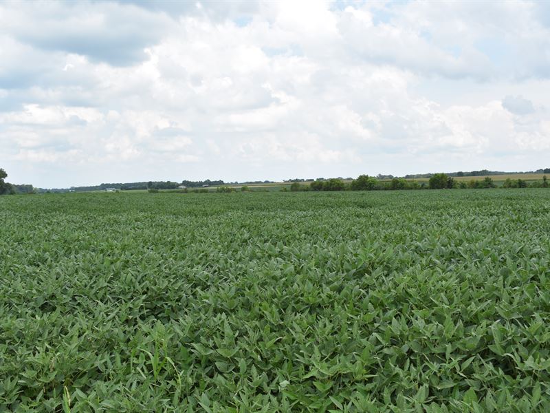 Saline County Farmland Auction : East Eldorado : Saline County : Illinois