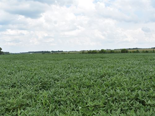 Saline County Farmland Auction : East Eldorado : Saline County : Illinois