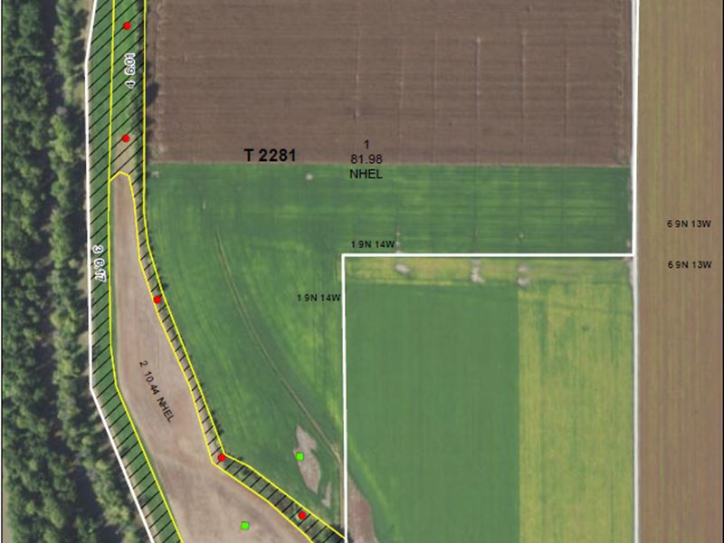 Exceptional IL River Bottom Land : Eldred : Greene County : Illinois