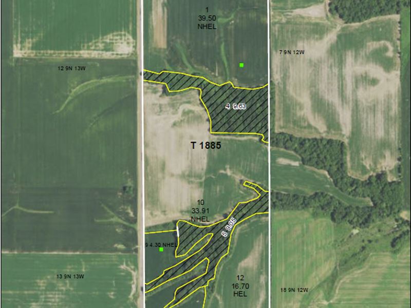 Farmland & Woodland : Carrollton : Greene County : Illinois