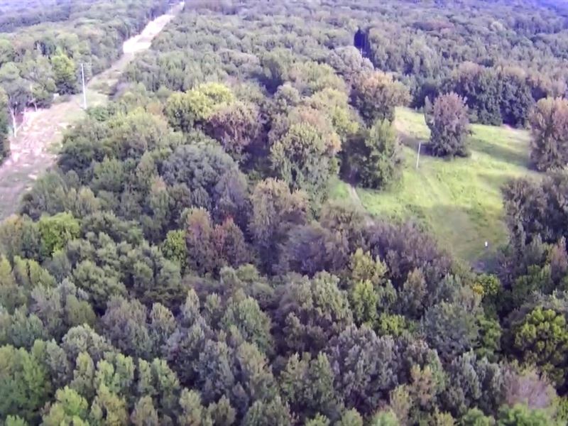 Land Auction, Desoto County : Nesbit : DeSoto County : Mississippi