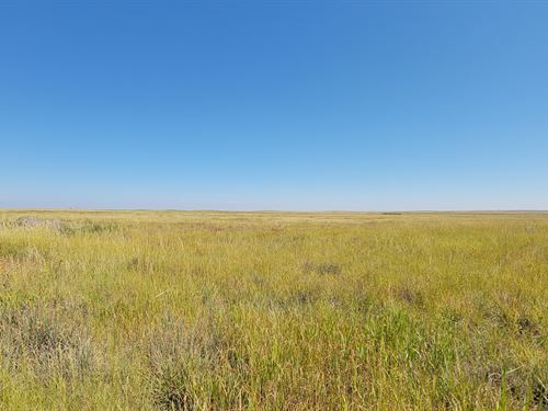 East Morgan County Pasture Auction : Brush : Morgan County : Colorado