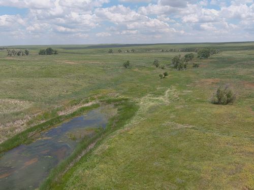 Box Ranch Auction : New Raymer : Weld County : Colorado