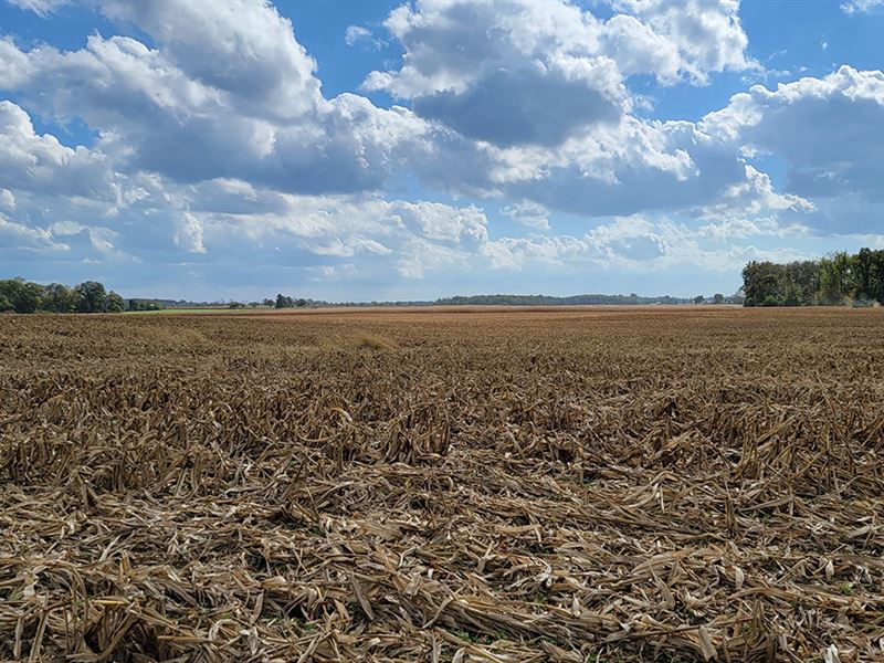 Montgomery County Grain Farm : New Lebanon : Montgomery County : Ohio