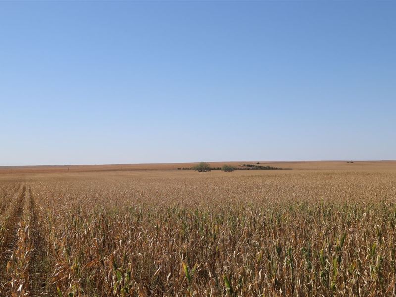 Salmonson Fam Trust Dryland Auction : Madrid : Perkins County : Nebraska