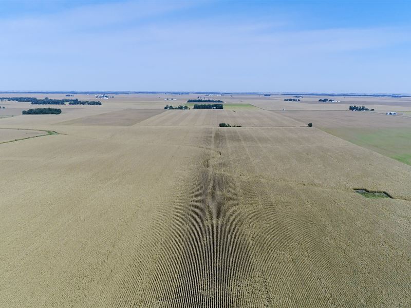 Edgar County Farmland Auction : Kansas : Edgar County : Illinois