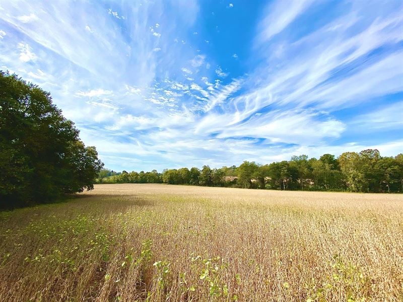 37.14 Acres in 3 Parcels : Pembroke : Christian County : Kentucky