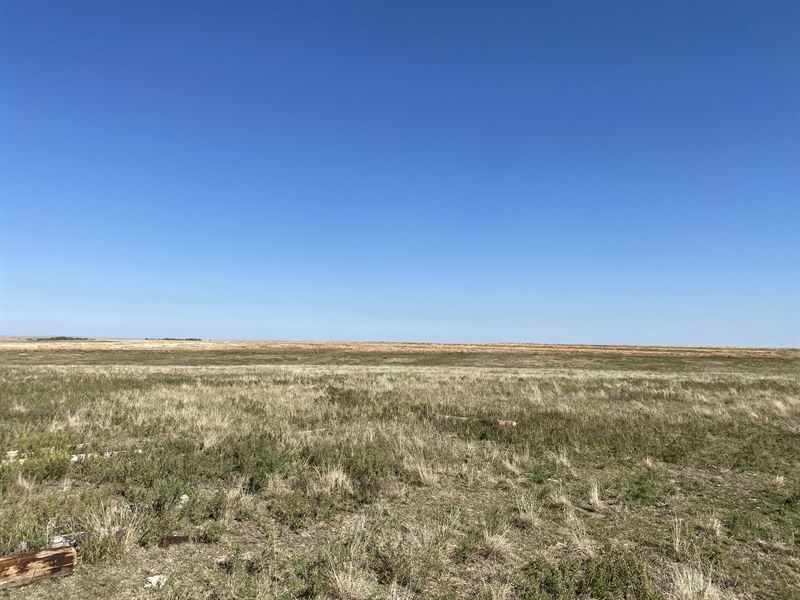 Dunn Family Farmland Auction, KS : Jetmore : Hodgeman County : Kansas