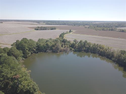 Online Auction, Productive Cropland : Moultrie : Colquitt County : Georgia