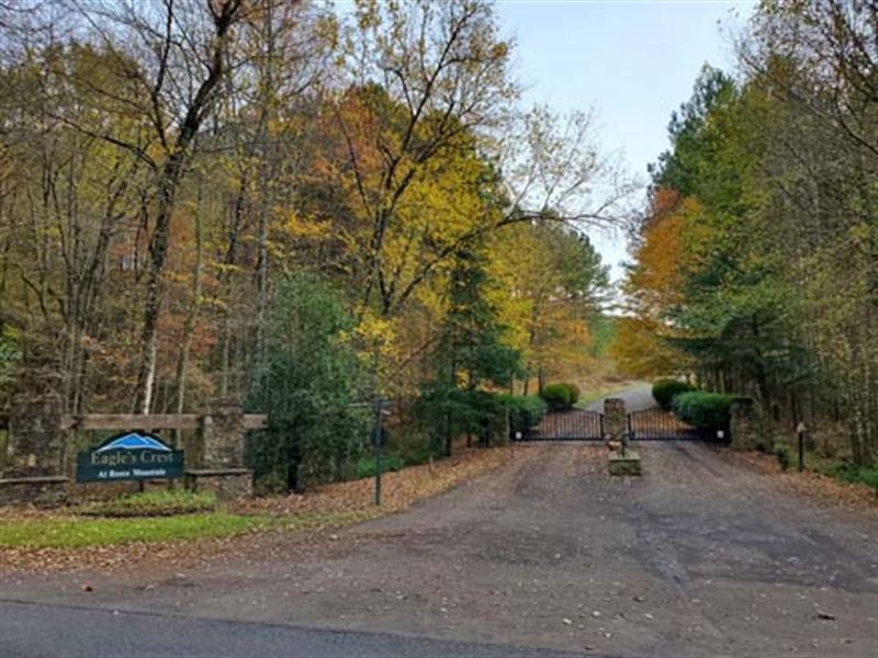 Absolute Auction, Residential Lot : Ellijay : Gilmer County : Georgia