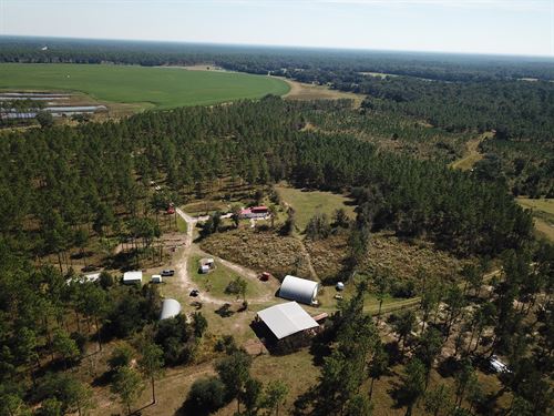 130 Acre Game Plantation : Newton : Baker County : Georgia