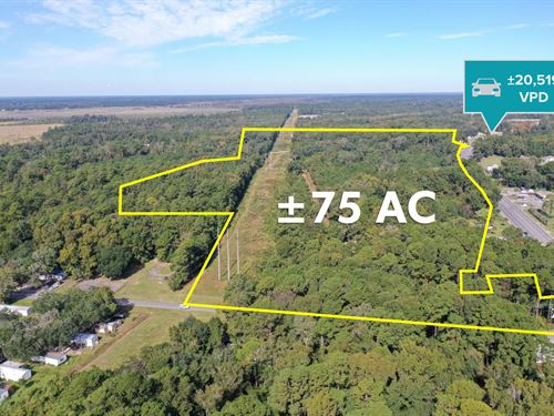 $1 Auction, 75 AC Land : Brunswick : Glynn County : Georgia