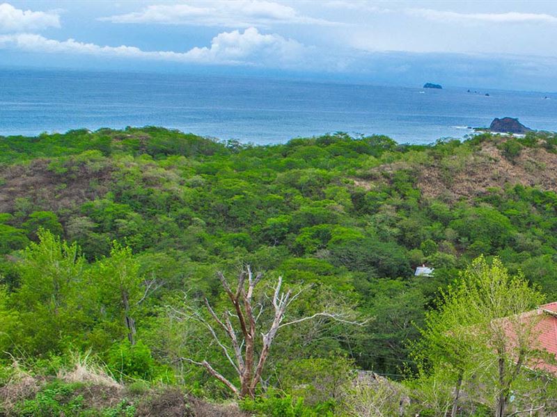 Auction, Oceanfront Dev Land : Bahia De Pirates : Costa Rica