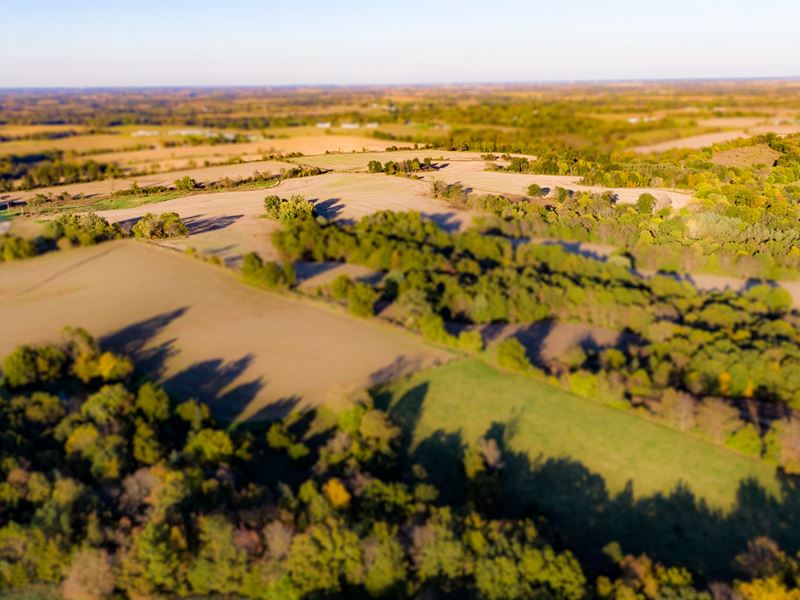 300 Acres +/- in Pike County, IL : Summer Hill : Pike County : Illinois
