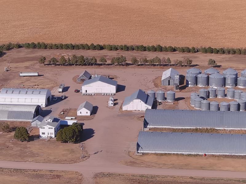 Home Place & Dryland Auction : Julesburg : Sedgwick County : Colorado