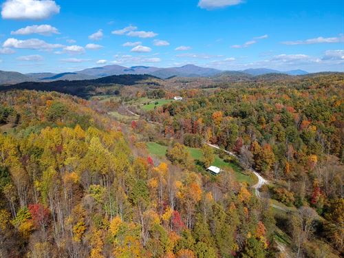 Scenic Private Acreage in 5 Tracts : Amherst : Virginia