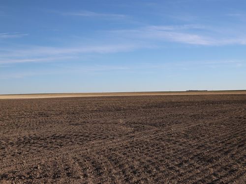 Morean Felzien Estate Dryland : Sterling : Logan County : Colorado