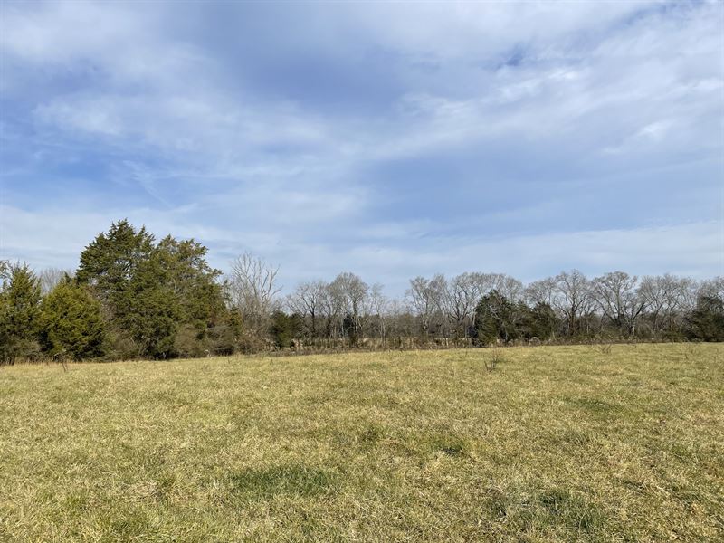 Beautiful Gently Rolling Acreage : Decatur : Meigs County : Tennessee
