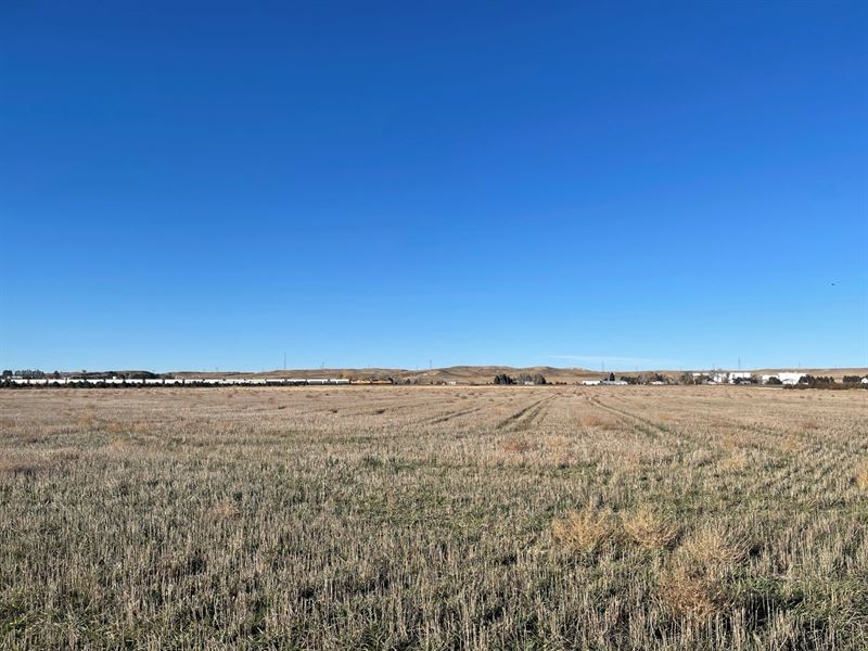 Est of Florine Mae Elias Auction : Sidney : Cheyenne County : Nebraska
