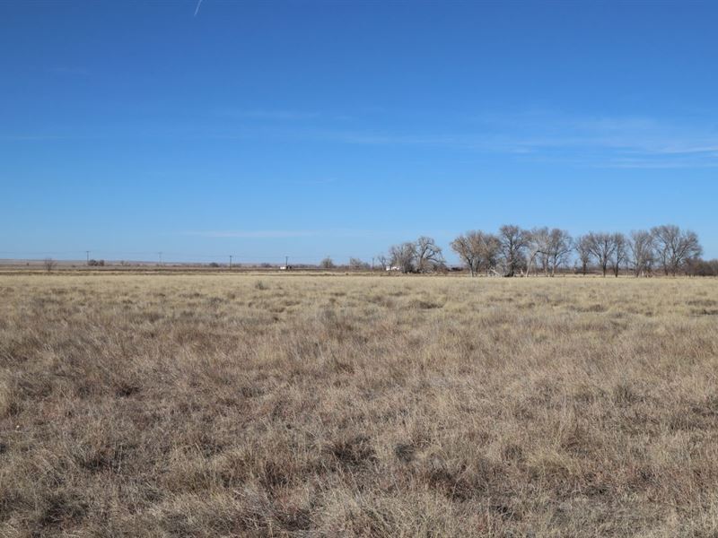 Brewer Trust Land & Water Auction : Olney Springs : Crowley County : Colorado